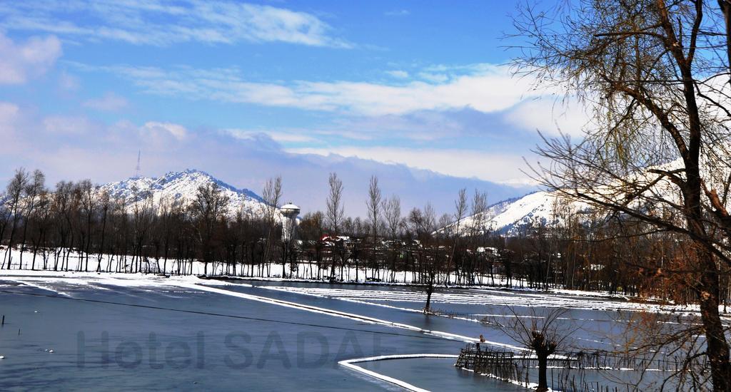 Sadaf
