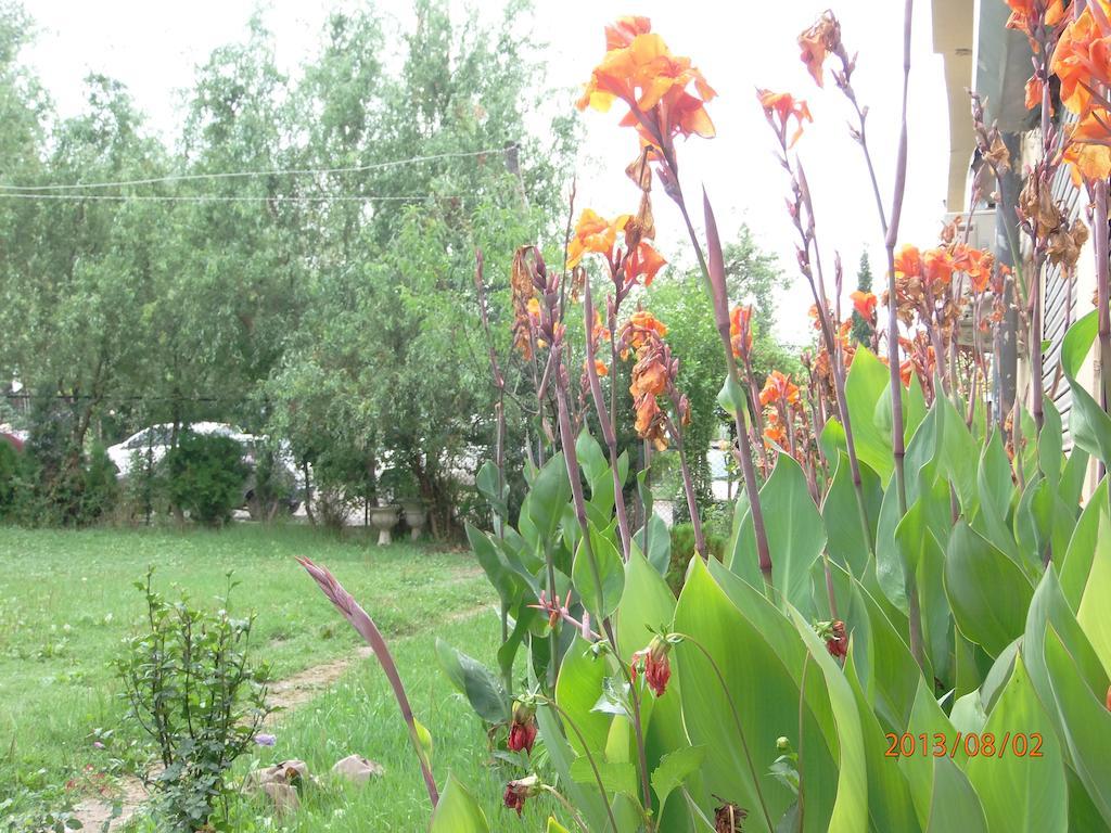Avenue Srinagar (Jammu and Kashmir)