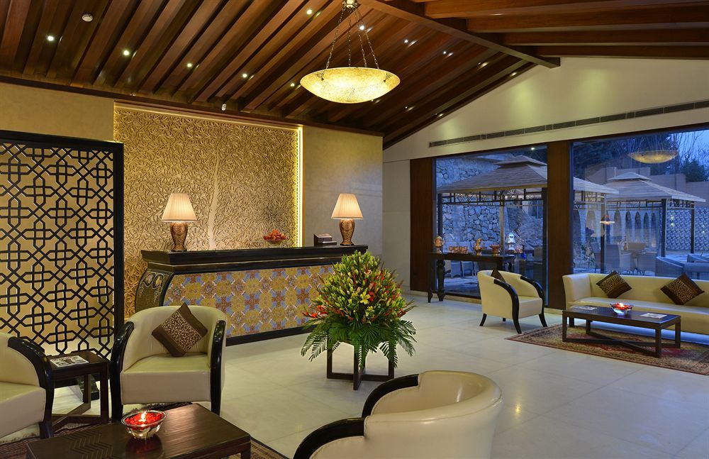 Golden Tulip