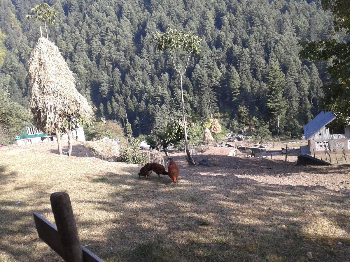 S Group Of Houseboat 4* Srinagar (Jammu and Kashmir)
