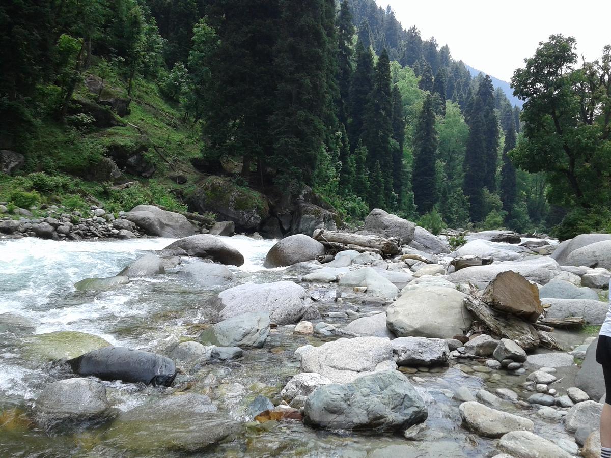 S Group Of Houseboat 4* Srinagar (Jammu and Kashmir)