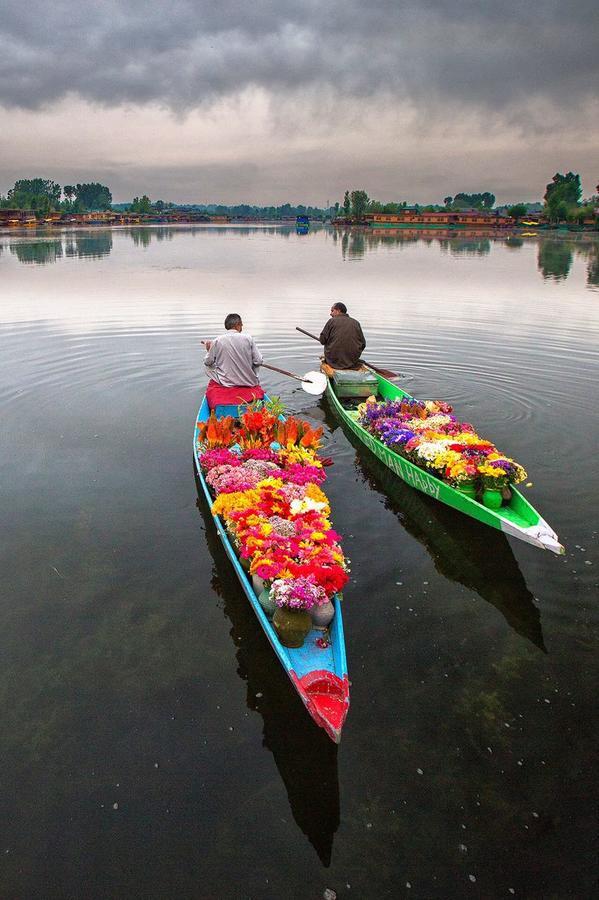 Hotel Houseboat New Pride Of Kashmir Srinagar (Jammu and Kashmir)