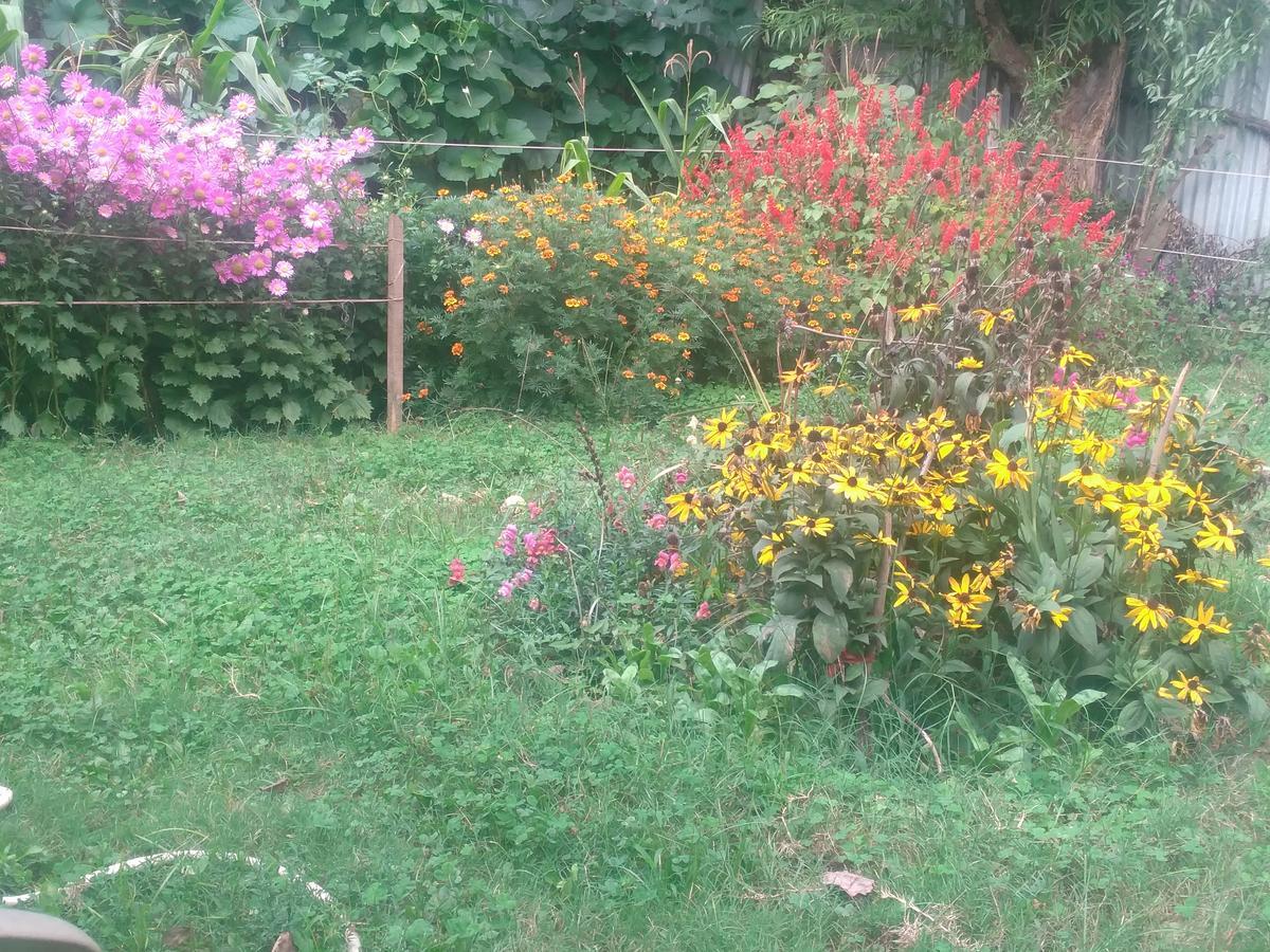 Guest house Alamdar Srinagar (Jammu and Kashmir)