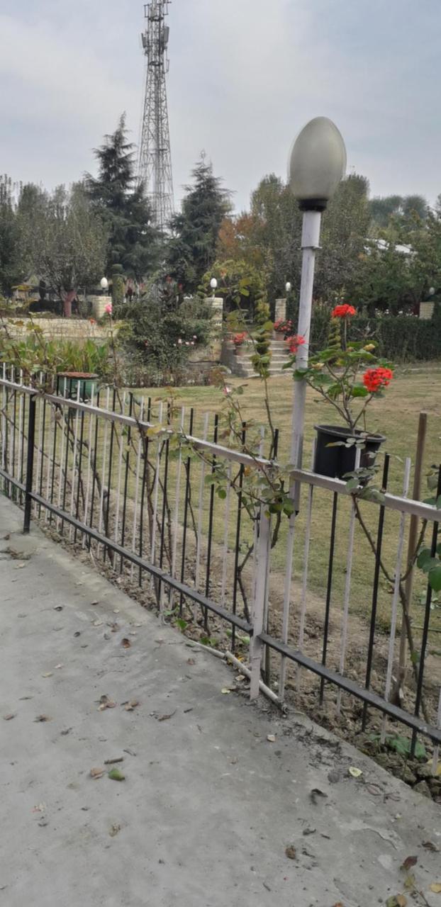 Young Mamta Srinagar (Jammu and Kashmir)