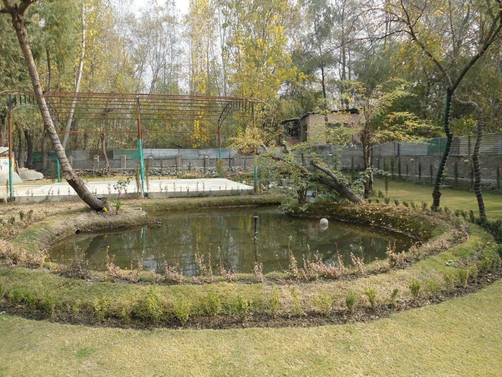 Avenue 2* Srinagar (Jammu and Kashmir)