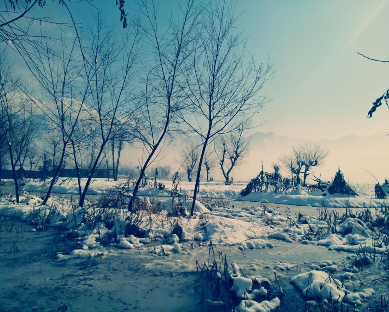 Kings Houseboats Inn Srinagar (Jammu and Kashmir)