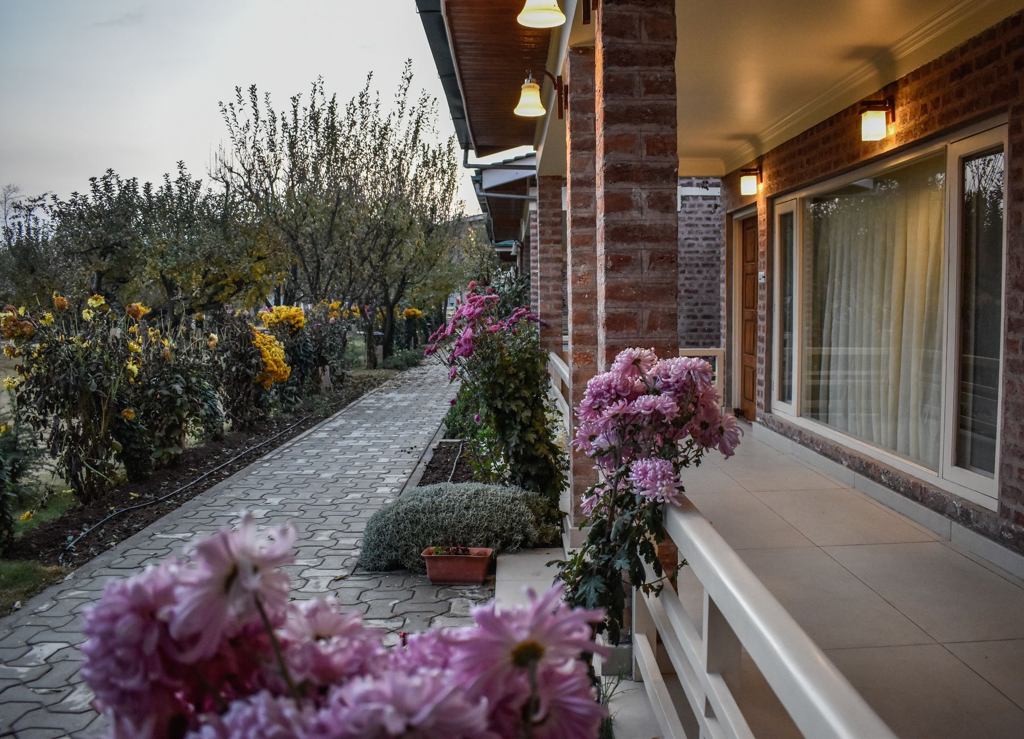 Resort The Orchard Retreat & 5*